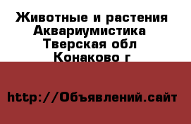 Животные и растения Аквариумистика. Тверская обл.,Конаково г.